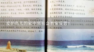 爱护鸟儿的家中班社会教案反思？