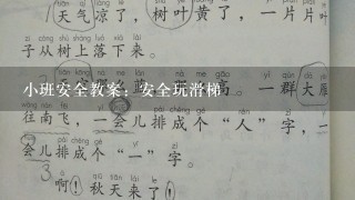 小班安全教案：安全玩滑梯