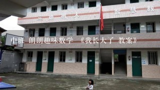 中班 朗朗趣味数学 《我长大了 教案》