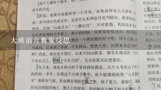 大班语言教案反思