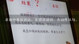 求初中英语语法：非谓语动词，名词性从句，定语从句，状语从句详细教案。 万分感谢，应付学校检查评估的