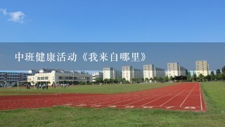 中班健康活动《我来自哪里》