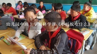 幼儿园中班上学期科学课《小蚂蚁吃什么》的教案