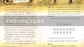 大班安全防鼠灭鼠教案