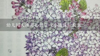 幼儿园大班开心识字《小露珠》教案？