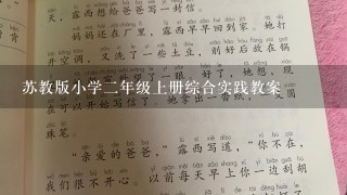 苏教版小学二年级上册综合实践教案