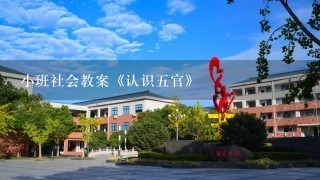 小班社会教案《认识五官》