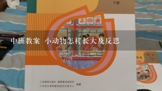 中班教案 小动物怎样长大及反思