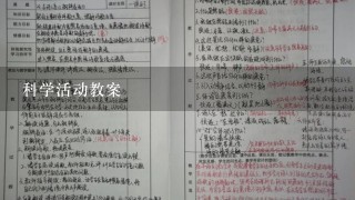 科学活动教案