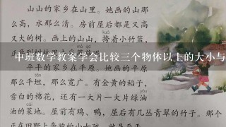 中班数学教案学会比较三个物体以上的大小与多少