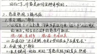 大班美术活动教案：七彩的世界教案(附教学反思)