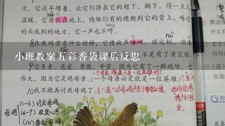 小班教案五彩香袋课后反思