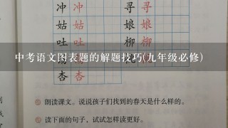 中考语文图表题的解题技巧(九年级必修)