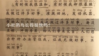 小杜鹃鸟长得很快吗？