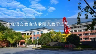 小班语言教案诗歌阳光教学反思