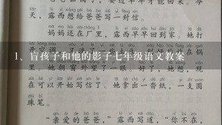 盲孩子和他的影子七年级语文教案