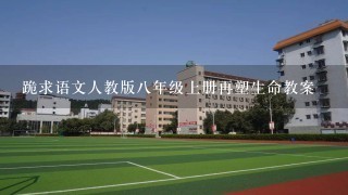 跪求语文人教版八年级上册再塑生命教案