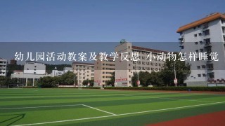 幼儿园活动教案及教学反思 小动物怎样睡觉