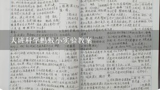 大班科学蚂蚁小实验教案