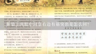 鼻梁上两眼中间靠右边有筋突出是怎么回？