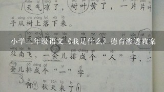 小学二年级语文《我是什么》德育渗透教案