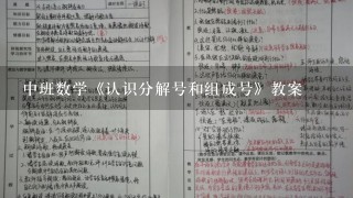 中班数学《认识分解号和组成号》教案