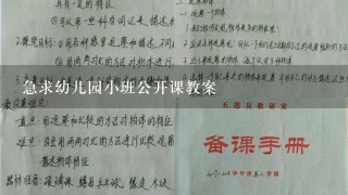 急求幼儿园小班公开课教案