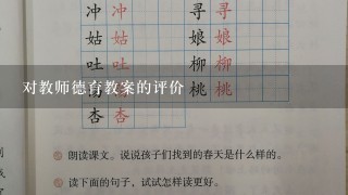 对教师德育教案的评价