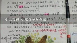 小班常识:小吃真多呀教案