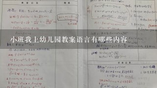 小班我上幼儿园教案语言有哪些内容