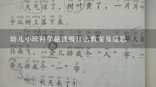 幼儿小班科学磁铁吸什么教案及反思