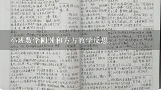 小班数学圆圆和方方教学反思