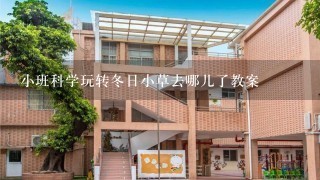 小班科学玩转冬日小草去哪儿了教案