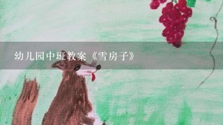 幼儿园中班教案《雪房子》