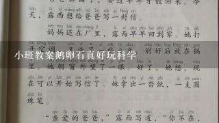 小班教案鹅卵石真好玩科学