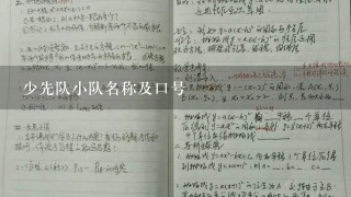 少先队小队名称及口号