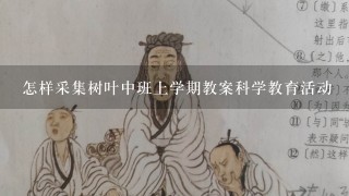 怎样采集树叶中班上学期教案科学教育活动