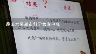 蔬菜水果超市科学教案中班