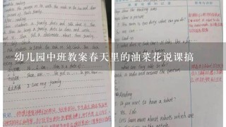 幼儿园中班教案春天里的油菜花说课搞