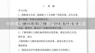 中班数学《比大小》教案设计与教学反思