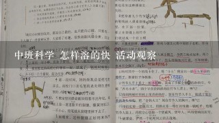 中班科学 怎样溶的快 活动观察