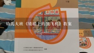 幼儿大班《矮墙上的纸飞机》教案