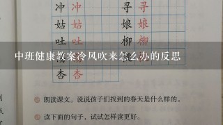 中班健康教案冷风吹来怎么办的反思