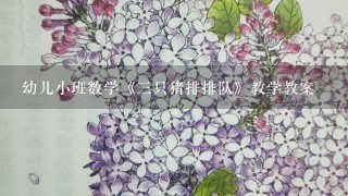 幼儿小班数学《3只猪排排队》教学教案