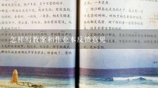 怎样写教案和作业本反馈意见