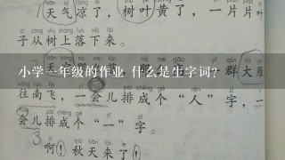 小学一年级的作业 什么是生字词？