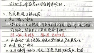 幼儿园小小班《神奇的叶子》科学教案怎么写？