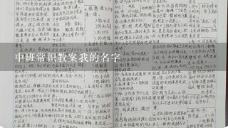 中班常识教案我的名字