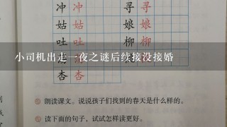 小司机出走1夜之谜后续接没接婚