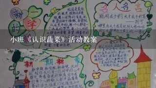 小班《认识蔬菜》活动教案